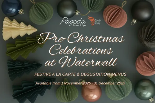 Pre-Christmas Celebrations at Waterwall
